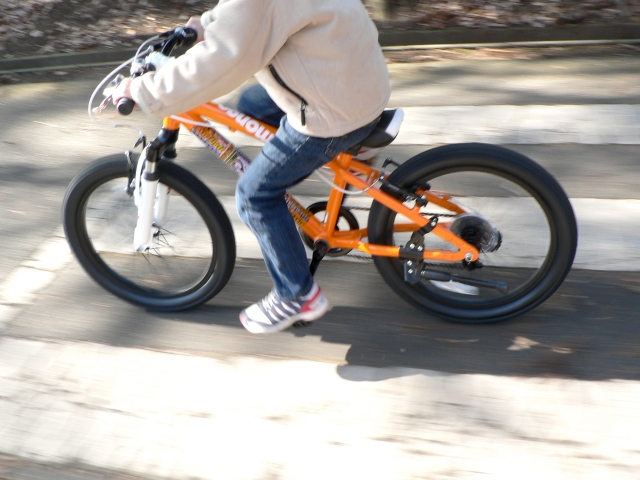 自転車保険